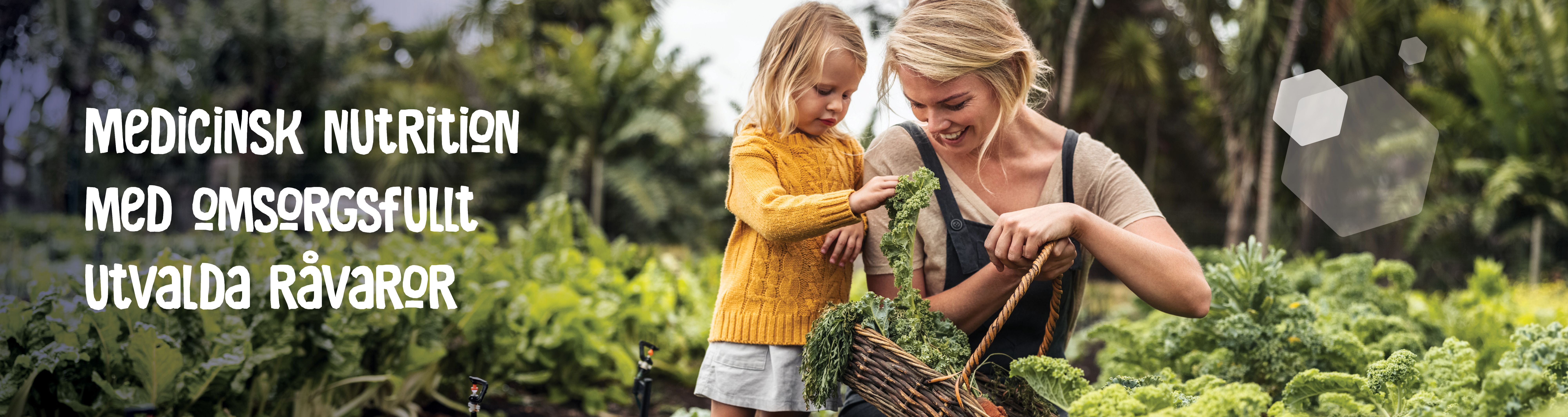 Mor som plockar grönsaker med sin dotter