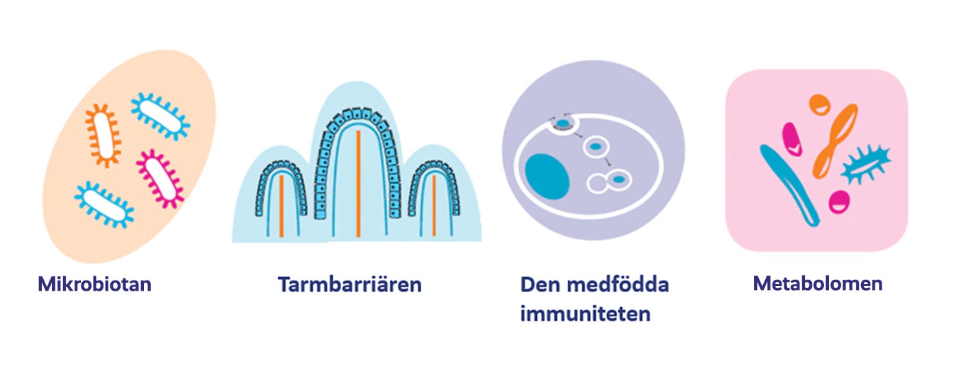 LÄNKEN MELLAN CROHNS SJUKDOM OCH MAT
