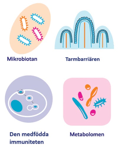 LÄNKEN MELLAN CROHNS SJUKDOM OCH MAT